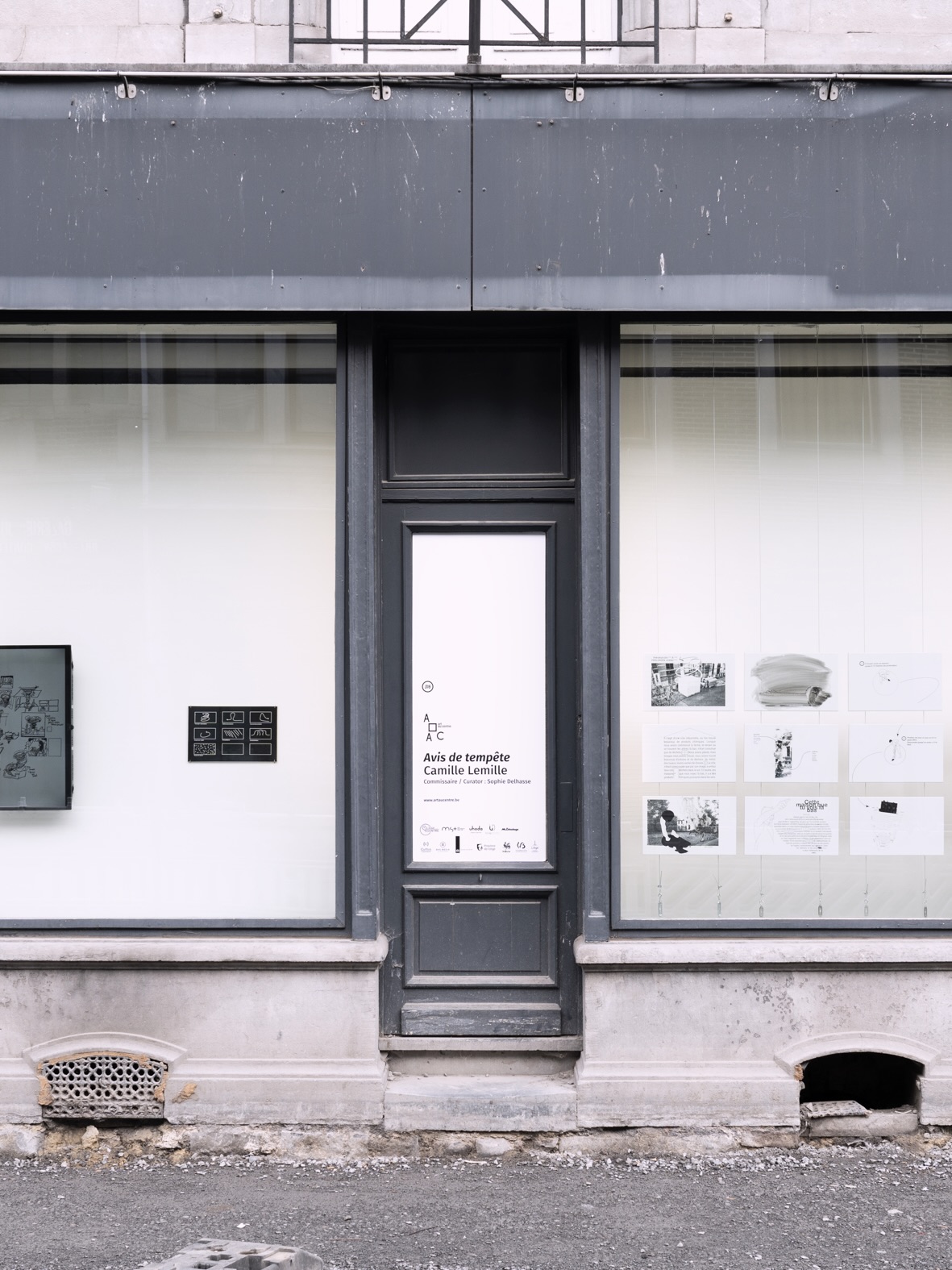 Werk van Camille Lemille